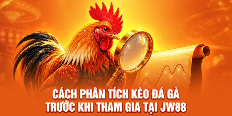 Cách phân tích kèo đá gà trước khi tham gia tại JW88