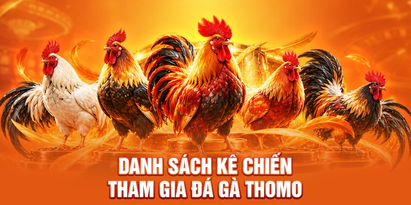 Danh sách kê chiến tham gia đá gà Thomo