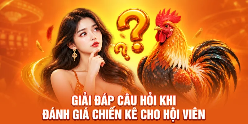 Giải đáp câu hỏi khi đánh giá chiến kê cho hội viên