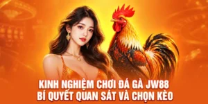 Kinh Nghiệm Chơi Đá Gà JW88: Bí Quyết Quan Sát Và Chọn Kèo