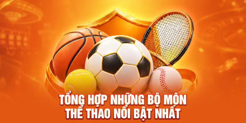 Tổng hợp những bộ môn thể thao nổi bật nhất